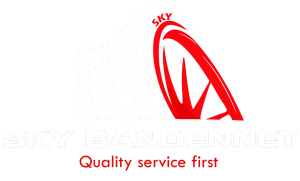 Sky Bandennet logo
